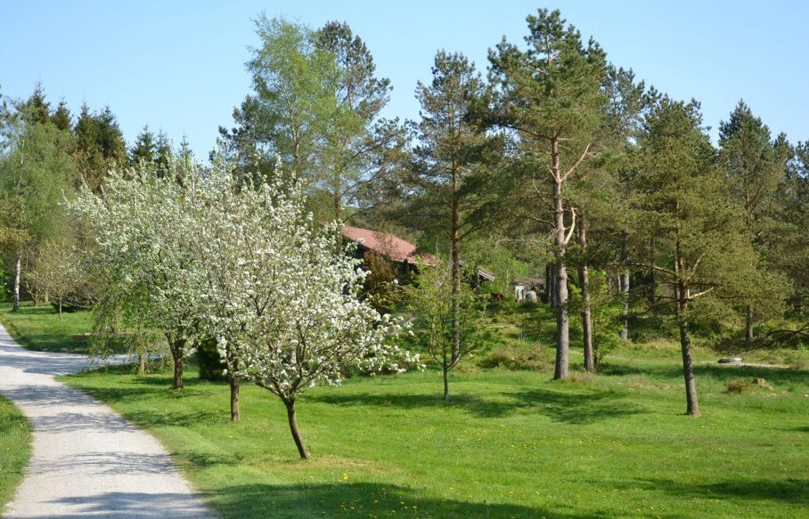 Rogaland Arboret, Norway